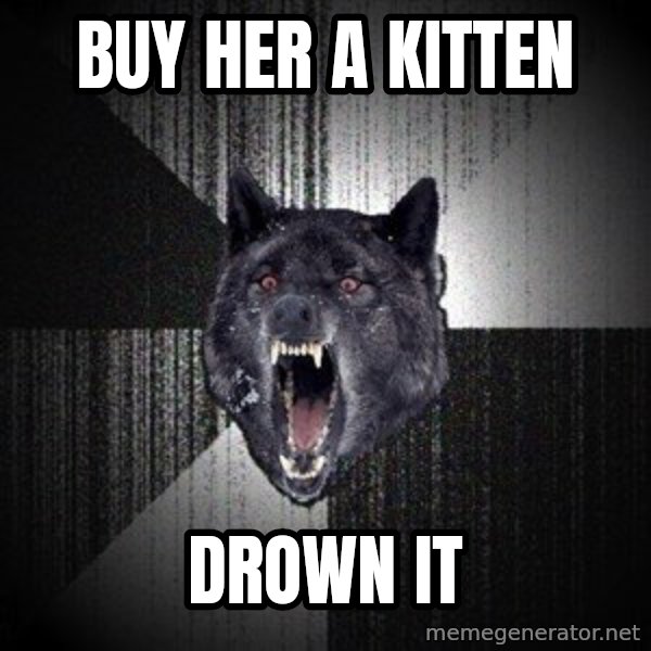 Insanity Wolf meme: buy her a kitten / drown it
