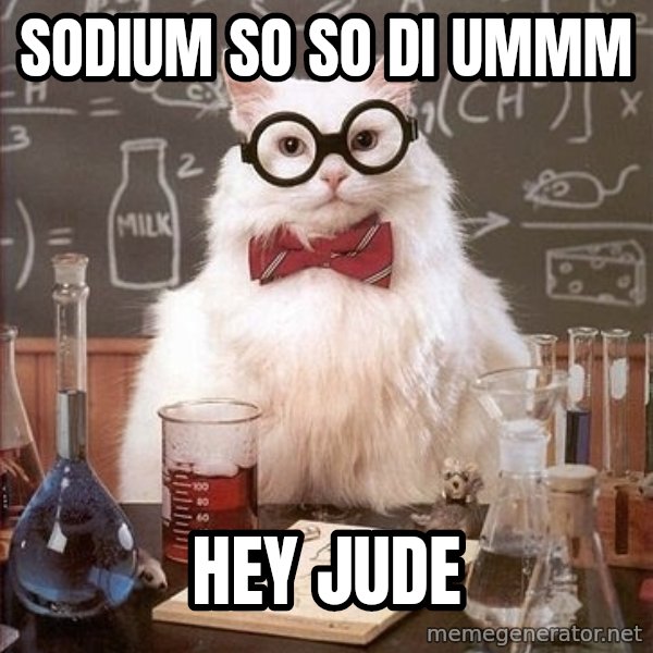 Chemist cat meme: sodium so so di ummm / hey jude
