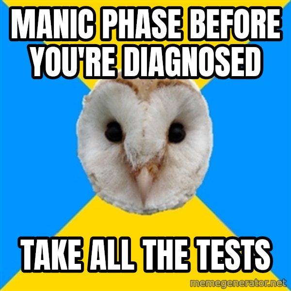 Bipolar Owl meme: Manic phase before you're diagnosed / take all the tests
