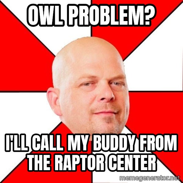 Pawn Stars meme: Owl problem? / i'll call my buddy from the Raptor Center