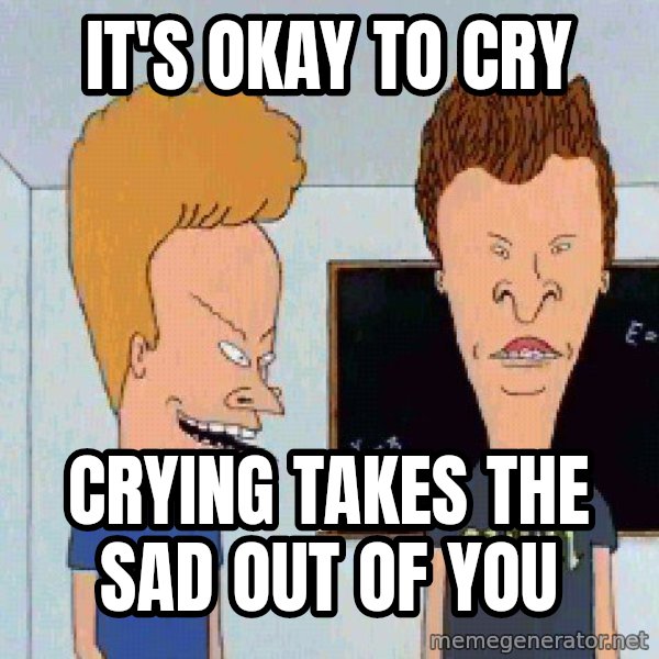 Beavis and butthead meme: IT'S OKAY TO CRY / CRYING TAKES THE SAD OUT OF YOU