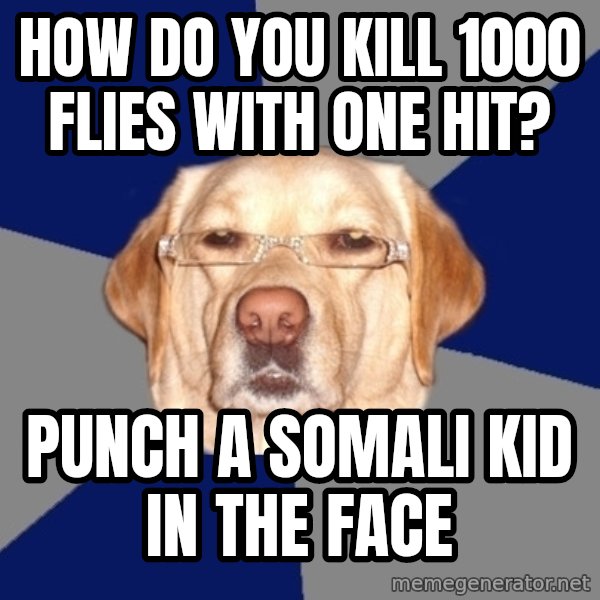 Racist Dog meme: hOW DO YOU KILL 1000 FLIES WITH ONE HIT? / PUNCH A SOMALi kID IN THE FACE