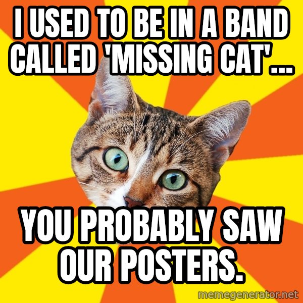 Bad Advice Cat meme: I used to be in a band called 'Missing Cat'... / You probably saw our posters.
