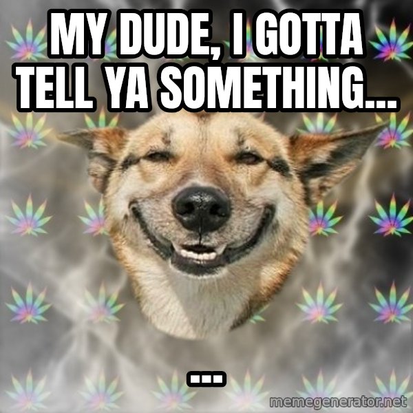 Stoner Dog meme: My dude, I gotta tell ya something... / ...