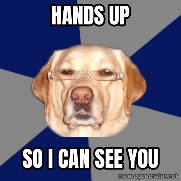 Racist Dog meme: HANDS UP / SO I CAN SEE YOU