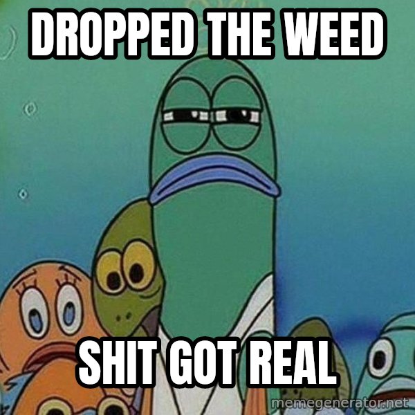 Serious Fish Spongebob meme: dropped the weed / Shit got real