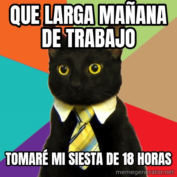 Business Cat meme: Que larga mañana de trabajo / Tomaré mi siesta de 18 horas