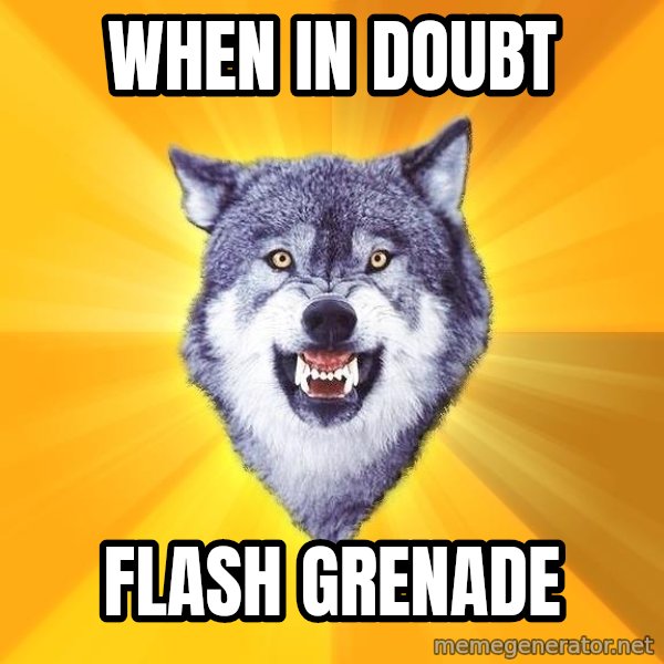 Courage Wolf meme: when in doubt / flash grenade