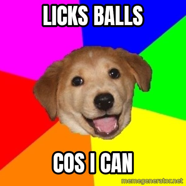 Advice Dog meme: licks balls / cos i can