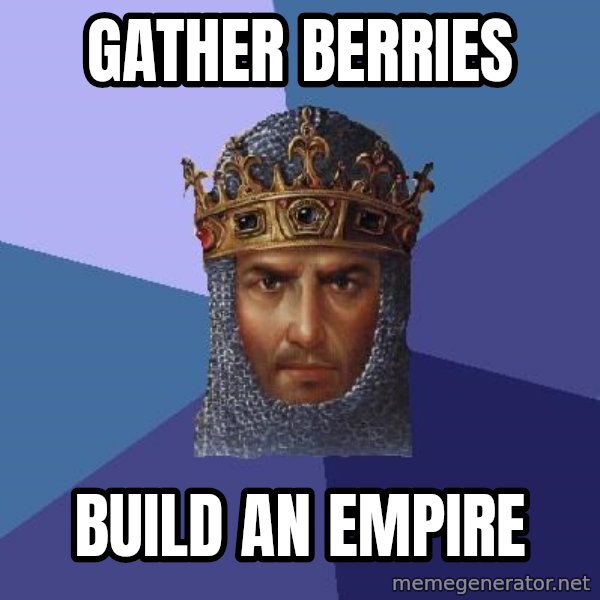 Age Of Empires meme: Gather berries / Build an empire