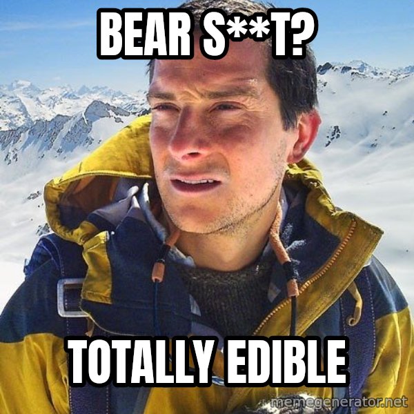 Bear Grylls Loneliness meme: bear s**t? / totally edible