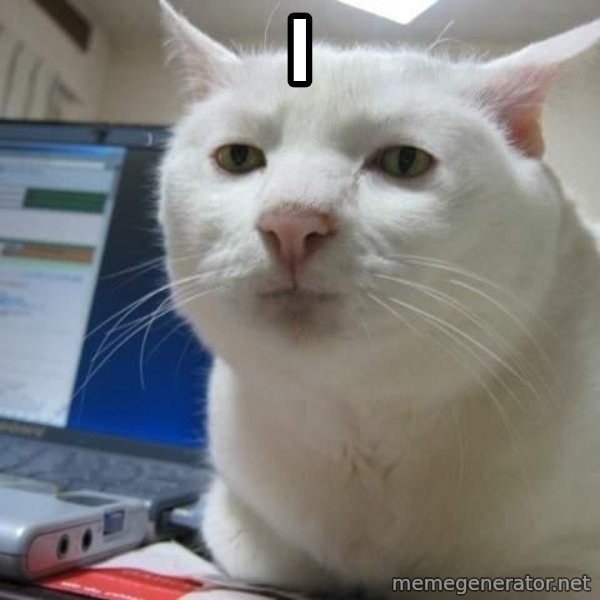 Serious Cat meme: i