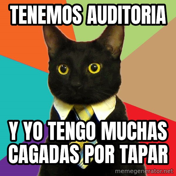 Business Cat meme: tenemos auditoria / y yo tengo muchas cagadas por tapar