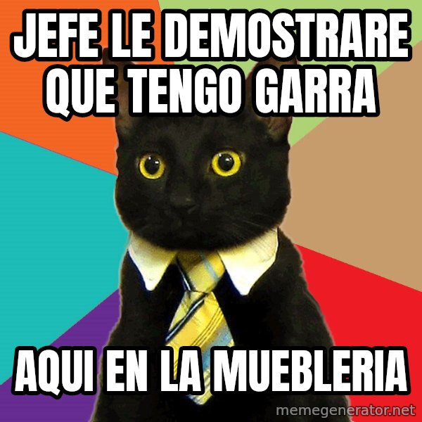 Business Cat meme: jefe le demostrare que tengo garra / aqui en la muebleria