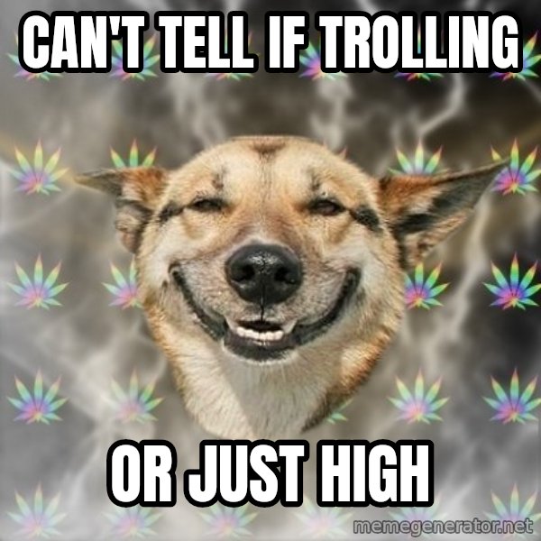 Stoner Dog meme: Can't tell if trolling / Or just high