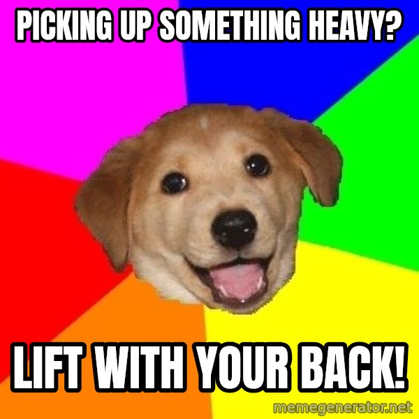 Advice Dog meme: picking up something heavy? / lift with your back!