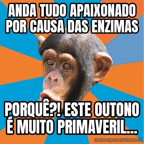 Stupid Monkey meme: anda tudo apaixonado por causa das enzimas / Porquê?! ESTE OUTONO É MUITO PRIMAVERIL...