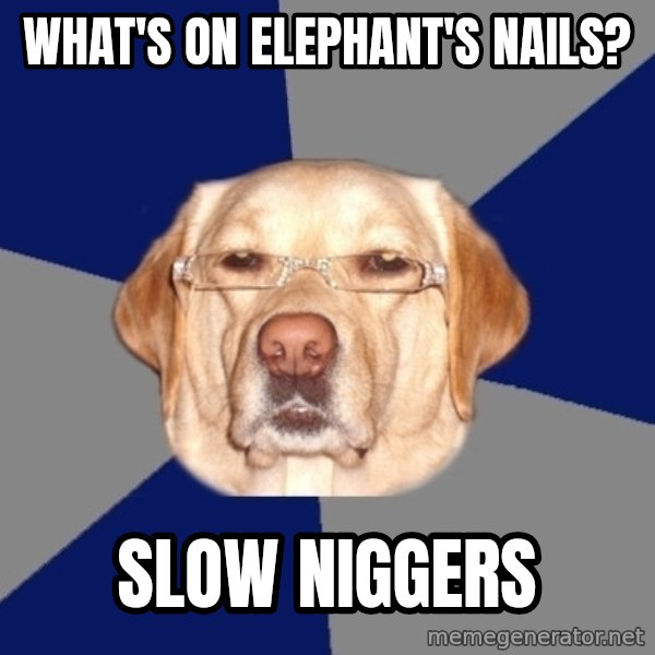 Racist Dog meme: What's on elephant's nails? / Slow niggers