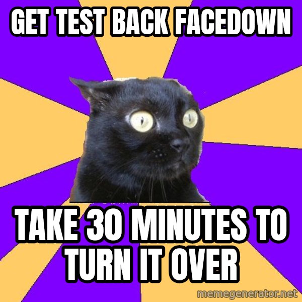 Anxiety Cat meme: Get test back facedown / take 30 minutes to turn it over