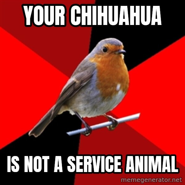 Retail Robin meme: Your chiHuaHua / is not a service animal