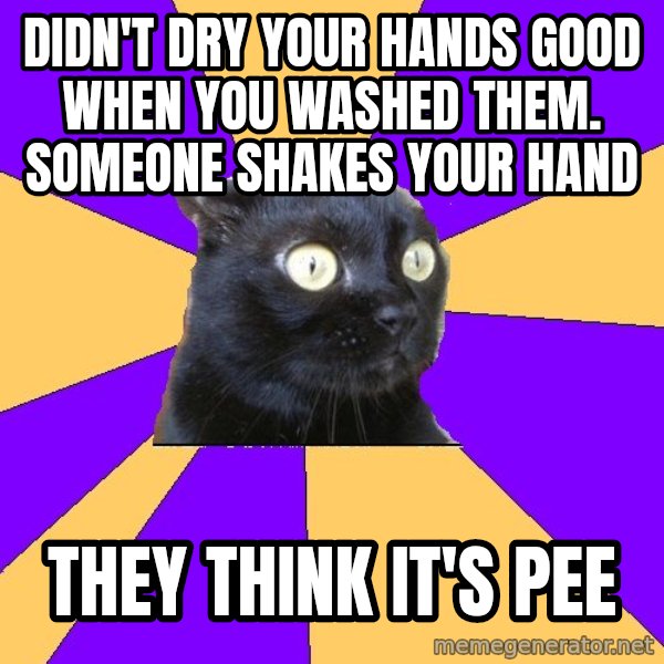 Anxiety Cat meme: DIDN'T DRY YOUR HANDS GOOD WHEN YOU WASHED THEM. SOMEONE SHAKES YOUR HAND / they think it's pee