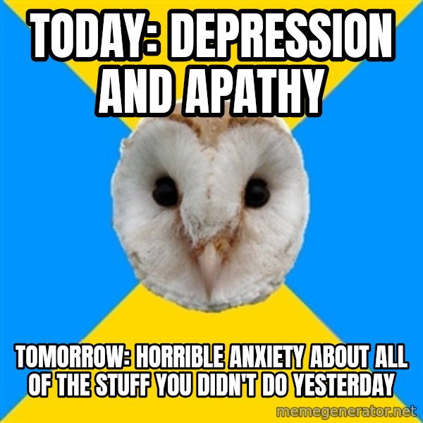 Bipolar Owl meme: today: depression and apathy / tomorrow: horrible anxiety about all of the stuff you didn't do yesterday