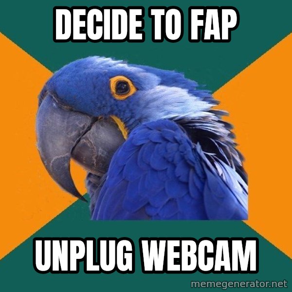 Paranoid Parrot meme: Decide to FAP / UNPLUG WEBCAM