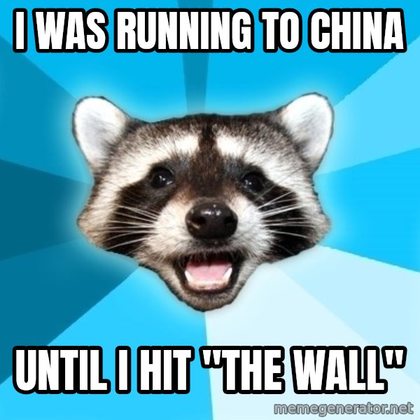 Lame Pun Coon meme: i was running to china / until i hit "the wall"