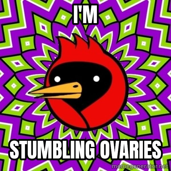 Omsk Crow meme: I'm / stumbling ovaries