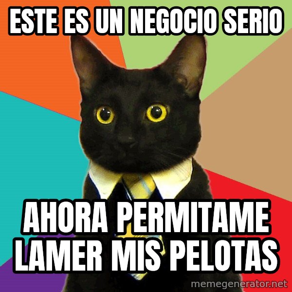 Business Cat meme: este es un negocio serio / ahora permitame lamer mis pelotas