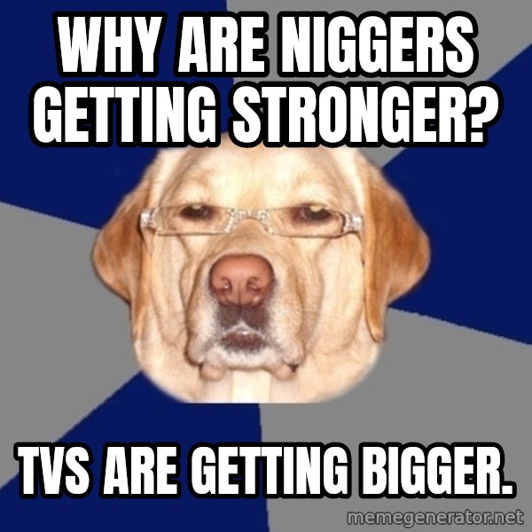 Racist Dog meme: Why are niggers getting stronger? / TVs are getting bigger.