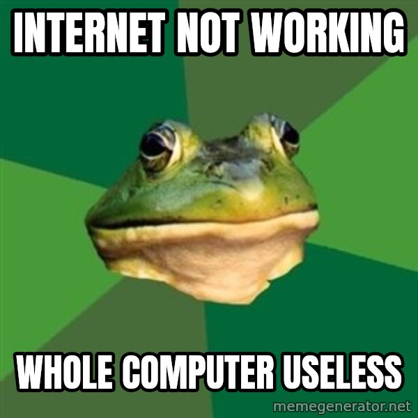 Foul Bachelor Frog meme: Internet not working / whole computer useless