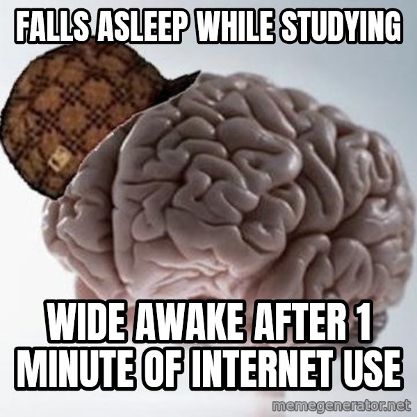 Scumbag Brain meme: FALLS ASLEEP WHILE STUDYING / WIDE AWAKE AFTER 1 MINUTE OF INTERNET USE