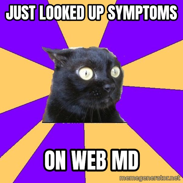 Anxiety Cat meme: Just looked up symptoms / on web mD