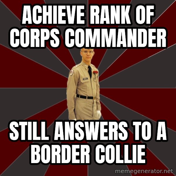 Stereotypical Corps Guy meme: Achieve Rank of corps commander / still answers to a Border Collie
