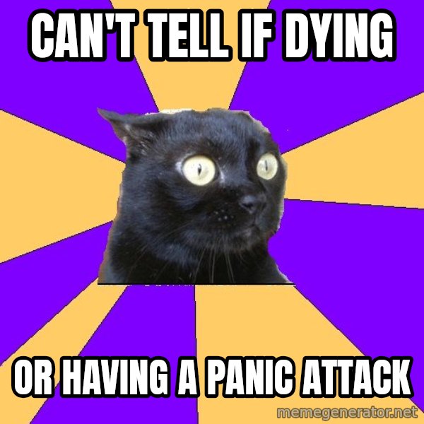 Anxiety Cat meme: can't tell if dying / or having a panic attack