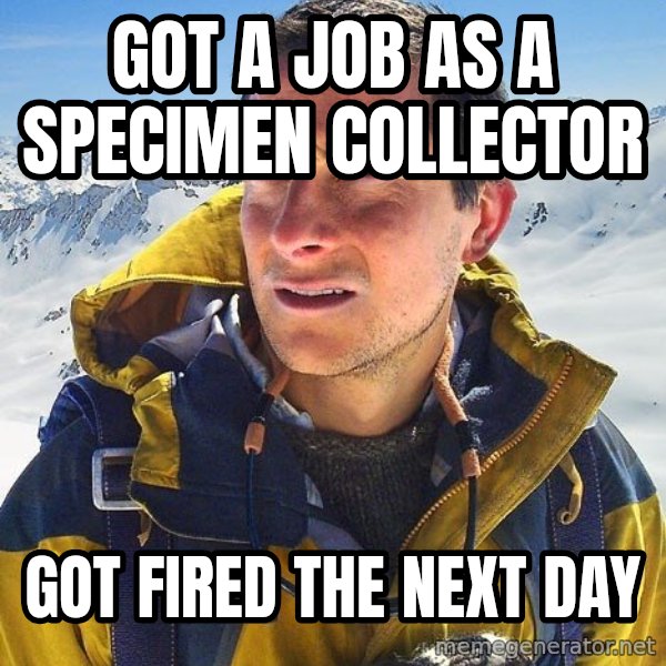 Bear Grylls Loneliness meme: got a job as a specimen collector / got fired the next day