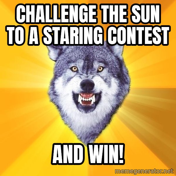Courage Wolf meme: challenge the sun to a staring contest / and win!