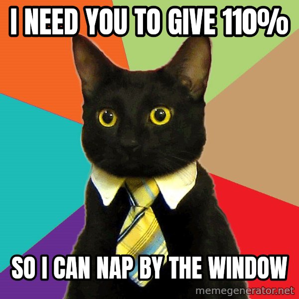 Business Cat meme: I need you to give 110% / so i can nap by the window