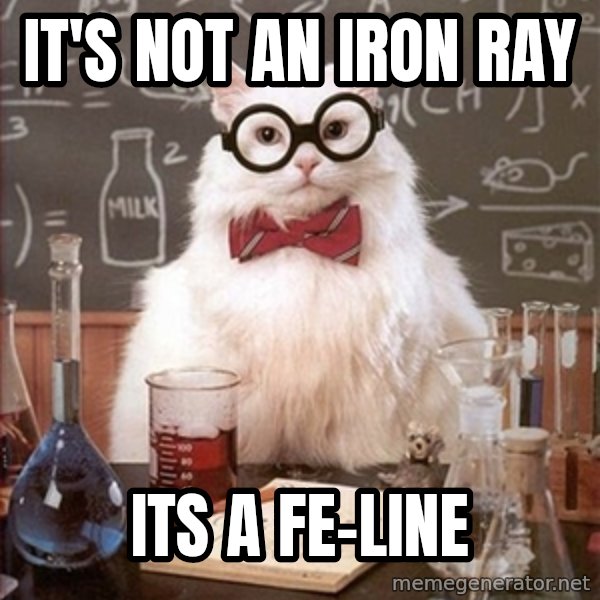 Science Cat meme: it's not an iron ray / its a fe-line