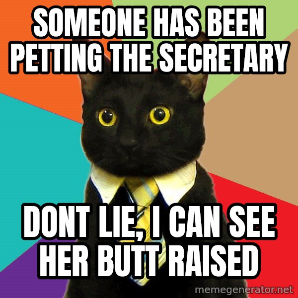Business Cat meme: someone has been petting the secretary / dont lie, i can see her butt raised