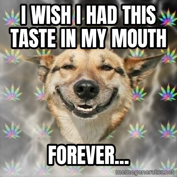 Stoner Dog meme: i wish i had this taste in my mouth / forever...