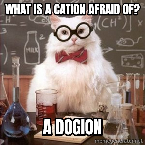Chemistry Cat meme: What is a Cation Afraid of? / A dogion