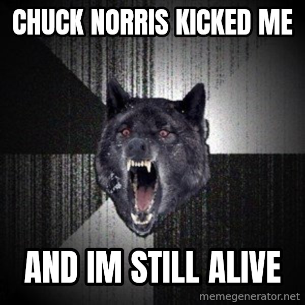 Insanity Wolf meme: Chuck norris kicked me / and im still alive