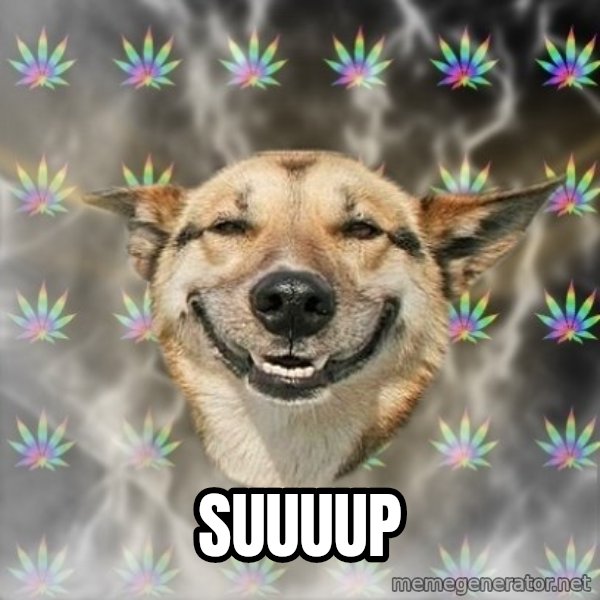 Stoner Dog meme: suuuup