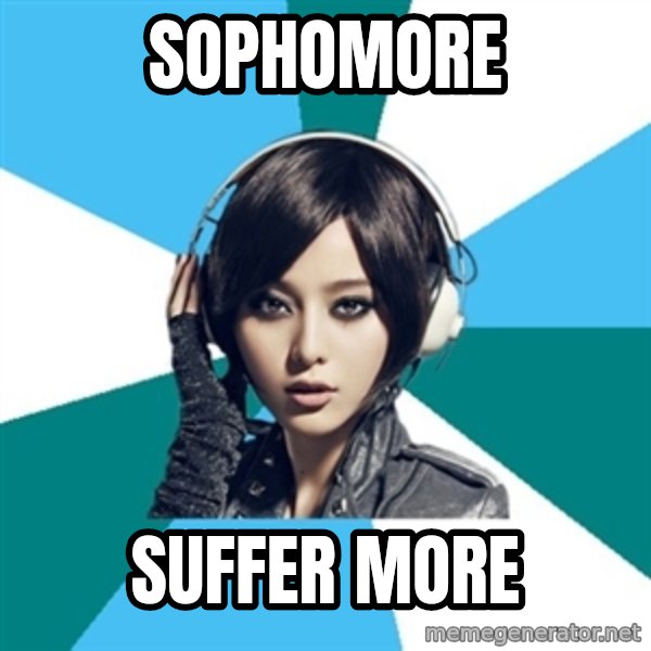 Crafty Interpreter meme: sophomore / suffer more