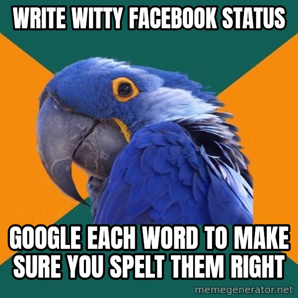 Paranoid Parrot meme: write witty facebook status / google each word to make sure you spelt them right