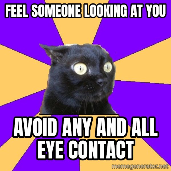 Anxiety Cat meme: feel someone looking at you / avoid any and all eye contact