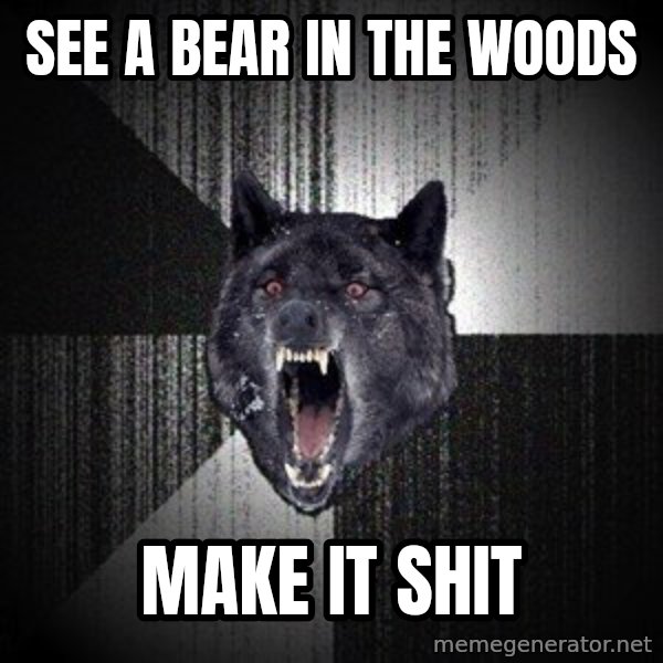 Insanity Wolf meme: see a bear in the woods / make it shit