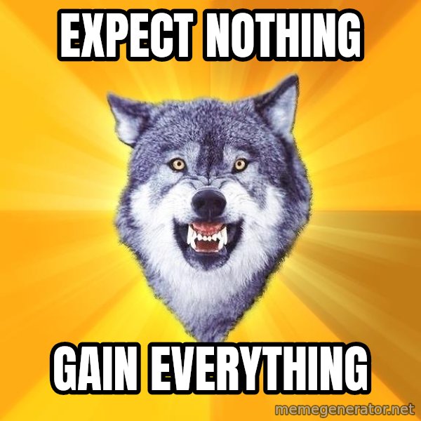 Courage Wolf meme: Expect Nothing / Gain everything
